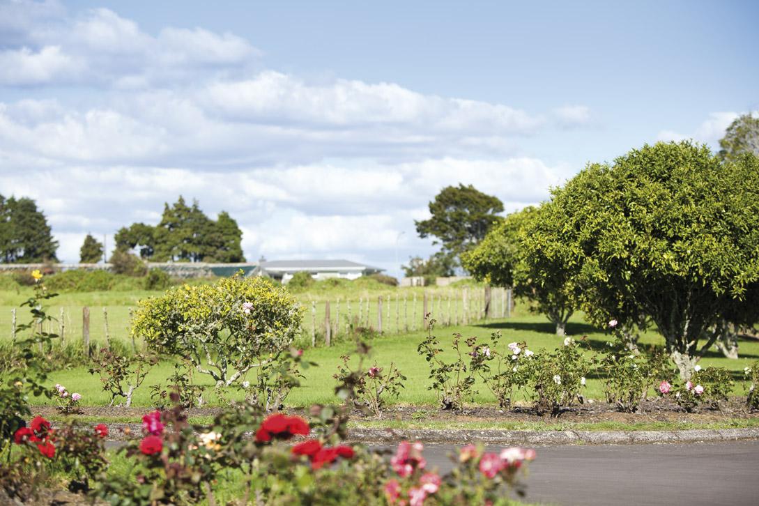 Franklin Village gardens