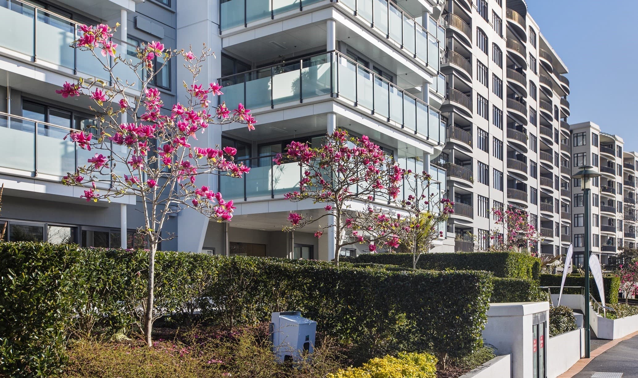 Exterior of Apartments and Magnolia Trees at full bloom