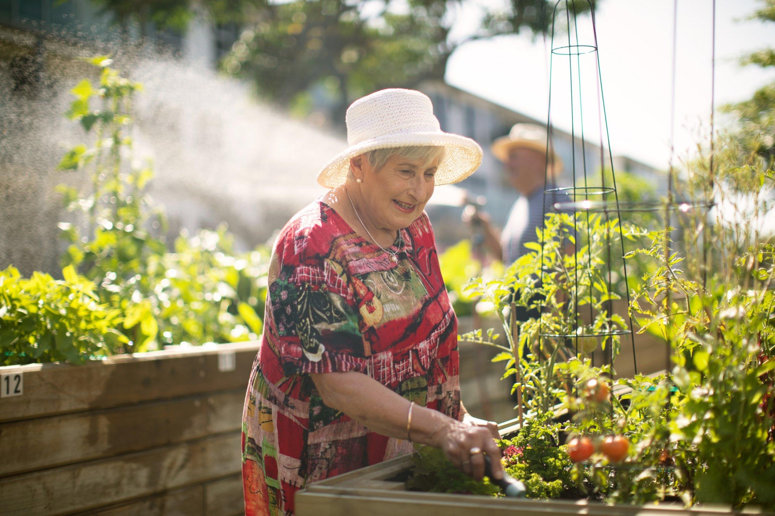 Elderly retirement resident gardening